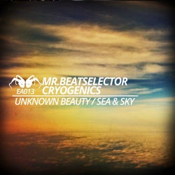 Unknown Beauty / Sea & Sky