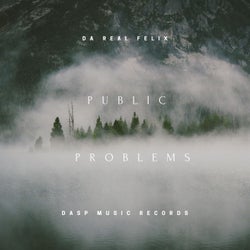 Public Problems