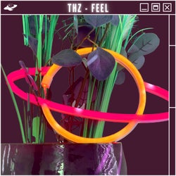 Feel (Extended Mix)