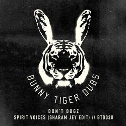 Spirit Voices (Sharam Jey Edit)