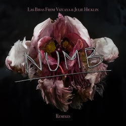Numb (The Remixes)