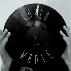 Carlo Whale-Top 10