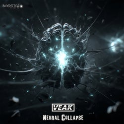 Neural Collapse
