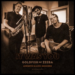 It Was You (With Zeeba) - Acoustic & Live Sessions