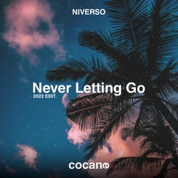 Never Letting Go (2022 Edit)