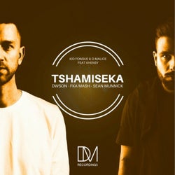 Tshamiseka (The Remixes)