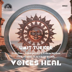 Voices Heal