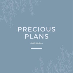 Precious Plans