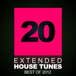 20 Extended House Tunes - Best Of 2012