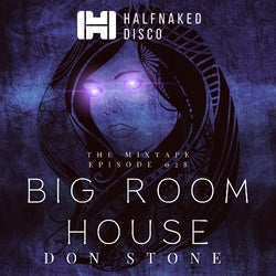 Big Room House: Half Naked Disco Episode 028
