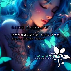 unchained melody (Groove d'vision mix)