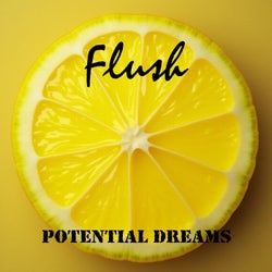 Potential Dreams