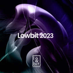 Lowbit 2023