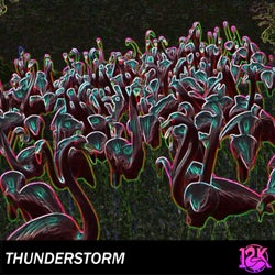 Thunderstorm