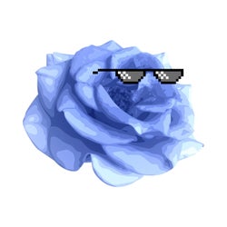 Blue Roses