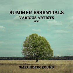 Summer Essentials 2k23