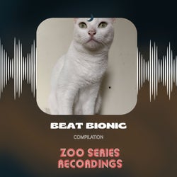 Beat Bionic