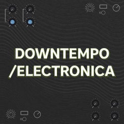 In The Remix - Electronica
