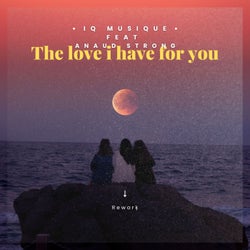The Love I Have For You (Rework)