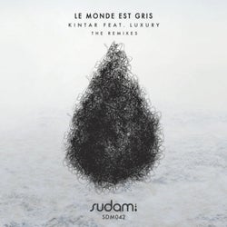 Le Monde Est Gris The Remixes