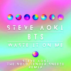 Waste It On Me (Steve Aoki The Bold Tender Sneeze Remix)