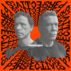 Perspectives - Extended Mixes