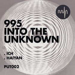 Into the Unknown
