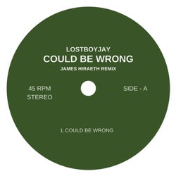 COULD BE WRONG (James Hiraeth Extended Remix)