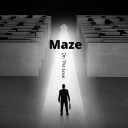 The Maze (Remix)