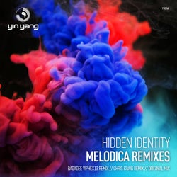 Hidden Identity - Melodica Remixes