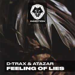 Feeling of Lies (Extended Mix)