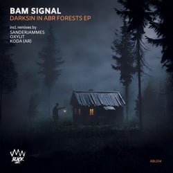 Darksin In Abr Forests EP