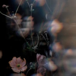 you're gonna be okay