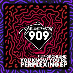 You Know You're Perplexing EP