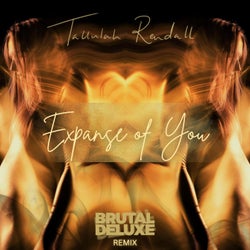 Expanse Of You (Brutal Deluxe Remix)