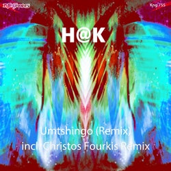 Umtshingo (Remix)