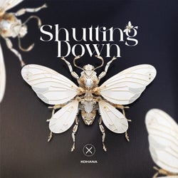 Shutting Down