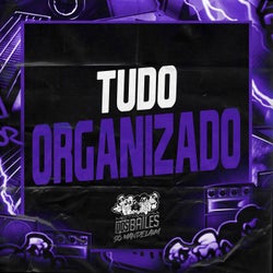 TUDO ORGANIZADO