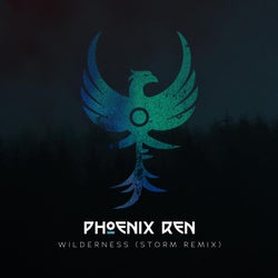 Wilderness (Storm Remix)