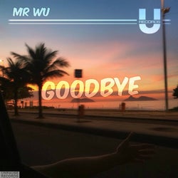 Goodbye