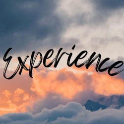 Experience