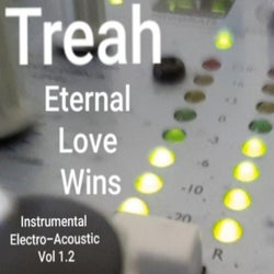 Eternal Love Wins (Instrumental Electro-Acoustic, Vol. 1.2)