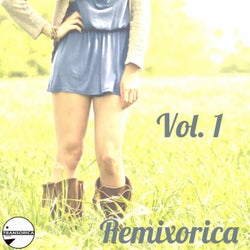 Remixorica Vol. 1