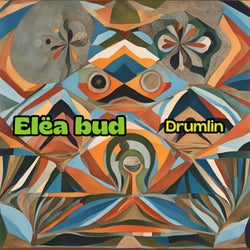 Drumlin