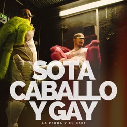 Sota Caballo Y Gay