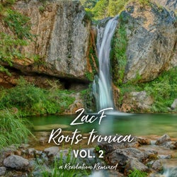 Roots-tronica Vol. 2