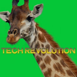 Tech Revolution (Tech House Music Revolution Music)