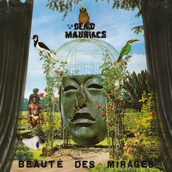 La beaute des mirages