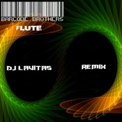 Barcode Brothers - Flute (Dj Lavitas Remix)