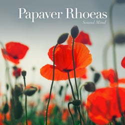 Papaver Rhoeas